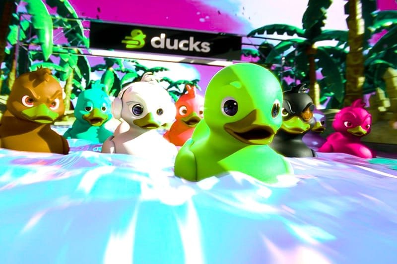 CCTV Duck River ¿dónde jugar online? – Los cuatro tipos de apuesta en CCTV Duck River